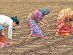 After Ladki Bahin, SC/ST sub-plan funds to be used again to pay farmers.