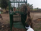 Forest officials placing a cage near the fodder room to rescue the leopard. (Sourced)