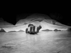 ప్రతీకాత్మక చిత్రం