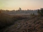 The project aims to restore water bodies impacted by unplanned construction (Photo for representation) The project aims to restore water bodies impacted by unplanned construction (Photo for representation)