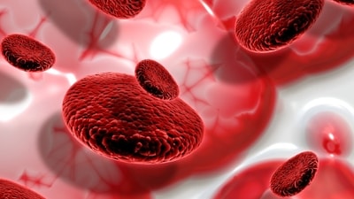 Aplastic anemia is a rare but serious blood disorder where the bone marrow fails to produce enough blood cells. (Freepik) Aplastic anemia is a rare but serious blood disorder where the bone marrow fails to produce enough blood cells. (Freepik)