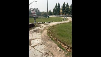 Residents say the neglect has diminished the charm of the place. (HT Photo) Residents say the neglect has diminished the charm of the place. (HT Photo)