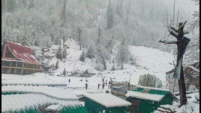 Tourists enjoy fresh snowfall at Manali, in Kullu on Monday. (ANI) Tourists enjoy fresh snowfall at Manali, in Kullu on Monday. (ANI)