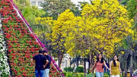 New Delhi, India - March 16, 2026: Blooming flowers are seen at Central Park, Connaught Place, under a clear blue sky,in New Delhi, India, on Monday, March 16, 2026. (Photo by Arvind Yadav/ Hindustan Times) (Hindustan Times)
