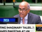 India calls out Pakistan’s hypocrisy at UN, cites Kabul hospital attack 