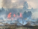 La Pine fire seen from a distance.
