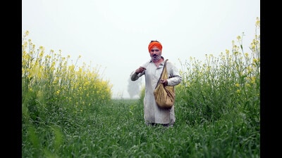Under the PM-Kisan scheme, financial assistance of ₹6,000 per year is provided to eligible farmers in three equal instalments of ₹2,000 each. (HT File) Under the PM-Kisan scheme, financial assistance of ₹6,000 per year is provided to eligible farmers in three equal instalments of ₹2,000 each. (HT File)