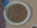 Dieticians tasked to ensure fresh meals; investigation to determine authenticity of video and responsibility, if any, officials said. (Screengrab)