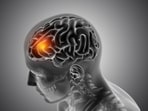 The brain needs a constant supply of oxygen and nutrients to function well, but if blood flow is interrupted even for a short time, this can cause problems. The brain needs a constant supply of oxygen and nutrients to function well, but if blood flow is interrupted even for a short time, this can cause problems.