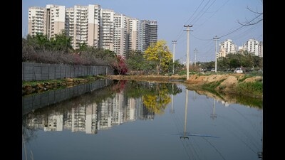 A vacant plot near Rising Homes society left inundated from overflowing sewage. (Parveen Kumar/HT) A vacant plot near Rising Homes society left inundated from overflowing sewage. (Parveen Kumar/HT)