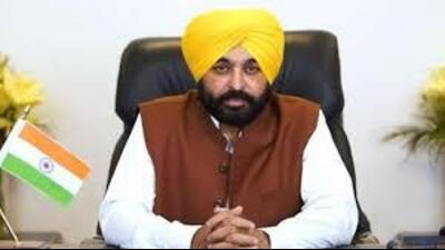 Chief minister Bhagwant Mann (HT File) Chief minister Bhagwant Mann (HT File)