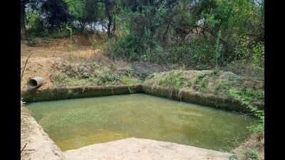 The waterhole in Aravallis at Baliawas. (Parveen Kumar/HT)