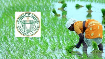 <p>రైతు భరోసా పంట పెట్టుబడి సాయాన్ని రైతుల ఖాతాల్లో జమ చేసేందుకు తెలంగాణ ప్రభుత్వం సిద్ధమైంది. ఇప్పటికే సీఎం రేవంత్ రెడ్డి తేదీని కూడా ప్రకటించారు. ఈ నెల 22 నుంచి రైతుల ఖాతాల్లో రైతుభరోసా నిధులు జమ చేస్తారు.</p><div style="-webkit-tap-highlight-color:rgba(0, 0, 0, 0);list-style-type:none;margin:0px;outline:none;overflow-wrap:break-word;padding:0px;text-decoration:none;"> </div> <p>రైతు భరోసా పంట పెట్టుబడి సాయాన్ని రైతుల ఖాతాల్లో జమ చేసేందుకు తెలంగాణ ప్రభుత్వం సిద్ధమైంది. ఇప్పటికే సీఎం రేవంత్ రెడ్డి తేదీని కూడా ప్రకటించారు. ఈ నెల 22 నుంచి రైతుల ఖాతాల్లో రైతుభరోసా నిధులు జమ చేస్తారు.</p><div style="-webkit-tap-highlight-color:rgba(0, 0, 0, 0);list-style-type:none;margin:0px;outline:none;overflow-wrap:break-word;padding:0px;text-decoration:none;"> </div>