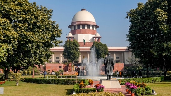 The observations came even as the court expanded maternity benefits for adoptive mothers. (PTI)