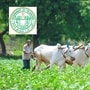 <p>రైతు భరోసా నిధుల విడుదల నేపథ్యంలో రైతులకు ప్రభుత్వం కీలక అప్డేట్ ఇచ్చింది. ఇప్పటి వరకు రైతు భరోసా పంట పెట్టుబడి సాయం అందని రైతులకు దరఖాస్తు చేసుకునేందుకు అవకాశం కల్పించింది. </p>