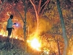 SGNP to deploy guards to tackle forest fires, encroachments SGNP to deploy guards to tackle forest fires, encroachments