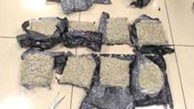 Four held with hydroponic cannabis worth ₹64 cr Four held with hydroponic cannabis worth ₹64 cr