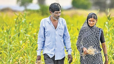 Mumbai, India. Mar 19, 2026 - Farmer Machindra Payke and his wife, Dwarka, are at their farms in Chinchala Village, Beed district. For the last 23 years, villagers have enforced a social boycott against Machindra Payke and his family, isolating them from communal events and access to shared village resources. Mumbai, India. Mar 19, 2026. (Photo by Raju Shinde/HT Photo) (Raju Shinde) Mumbai, India. Mar 19, 2026 - Farmer Machindra Payke and his wife, Dwarka, are at their farms in Chinchala Village, Beed district. For the last 23 years, villagers have enforced a social boycott against Machindra Payke and his family, isolating them from communal events and access to shared village resources. Mumbai, India. Mar 19, 2026. (Photo by Raju Shinde/HT Photo) (Raju Shinde)