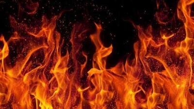 Tenders from at least four fire stations were pressed into service, with over 30 vehicles deployed. (HT Photo) Tenders from at least four fire stations were pressed into service, with over 30 vehicles deployed. (HT Photo)