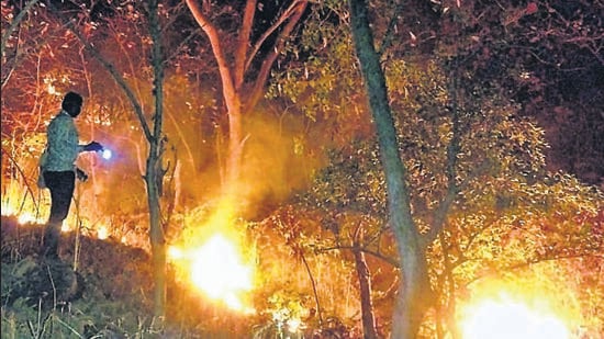 SGNP to deploy guards to tackle forest fires, encroachments