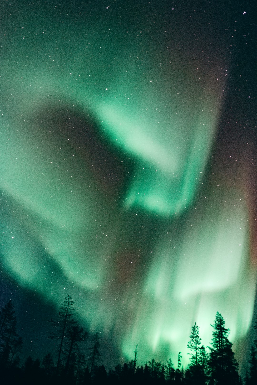Watch the Northern Lights dance across the night sky. (Unsplash) Watch the Northern Lights dance across the night sky. (Unsplash)