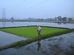 In agriculture, micro-irrigation, improved on-farm water management, and better utilisation of available resources are being adopted across regions, supported by programmes like the modernisation of command area development, helping enhance sustainability while supporting farmers’ livelihoods. (AFP)