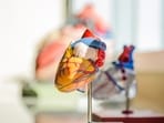 Read more to find out key factors that drive heart disease risk.