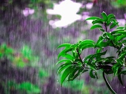 ఏపీలో వర్షాలు