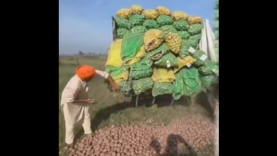 Farmer unions have also demanded immediate government intervention. (HT Photo) Farmer unions have also demanded immediate government intervention. (HT Photo)
