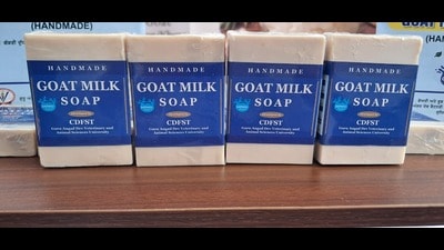 Products on display at the Pashu Palan Mela . (HT Photo)