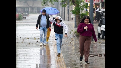 Visitors caught in the rain at the Sector 17 Plaza in Chandigarh on Friday. (Keshav Singh/HT) Visitors caught in the rain at the Sector 17 Plaza in Chandigarh on Friday. (Keshav Singh/HT)