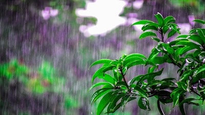 ఏపీలో వర్షాలు ఏపీలో వర్షాలు