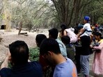 According to the police, they spotted three suspects roaming the zoo area around midnight. When the suspects attempted to flee, security staff fired one warning shot into the air, but the suspects escaped. (HT FILE) According to the police, they spotted three suspects roaming the zoo area around midnight. When the suspects attempted to flee, security staff fired one warning shot into the air, but the suspects escaped. (HT FILE)