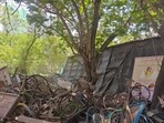 Mayor’s Bangladeshi crackdown puts spotlight on Mumbai’s illegal hawkers,mafia and policy failures