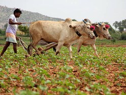 ఇవాళ రైతు భరోసా నిధులు విడుదల