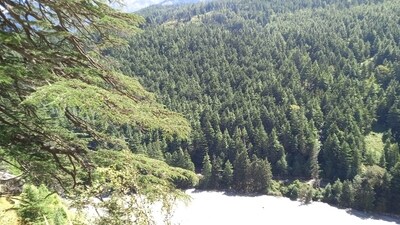 The Bhagirathi Eco Sensitive Zone. (HT)