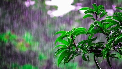 <p>ఇప్పటికే పలు జిల్లాల్లో కురిసిన అకాల వర్షాల దాటికి… పంట నష్టం వాటిల్లింది. కట్ చేస్తే మార్చి 24,25 తేదీల్లో ఉరుములు, మెరుపులు, ఈదురుగాలులతో కూడిన వర్షాలు పడే అవకాశం ఉంది. </p> <p>ఇప్పటికే పలు జిల్లాల్లో కురిసిన అకాల వర్షాల దాటికి… పంట నష్టం వాటిల్లింది. కట్ చేస్తే మార్చి 24,25 తేదీల్లో ఉరుములు, మెరుపులు, ఈదురుగాలులతో కూడిన వర్షాలు పడే అవకాశం ఉంది. </p>