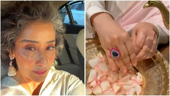 Take a closer look at Manisha Koirala's salt-and-pepper era! (Instagram)