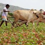 ఇవాళ రైతు భరోసా నిధులు విడుదల