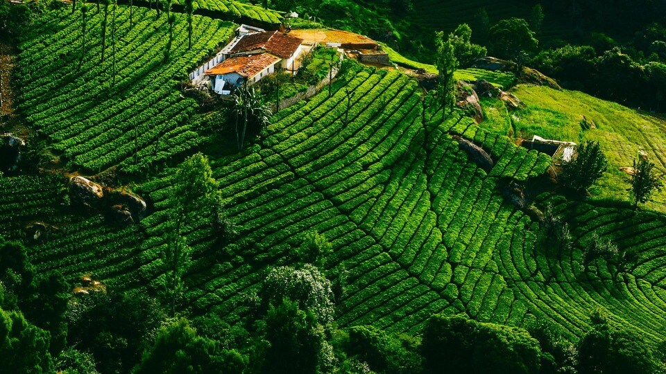 ఊటీ(Image source Unsplash)
