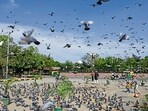 Maximum temperature to rise by up to 7°C over four days. Gusty winds and shifting patterns recorded during weather transition. (Sanjeev Verma/HT)
