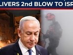 dimona shock dimona shock