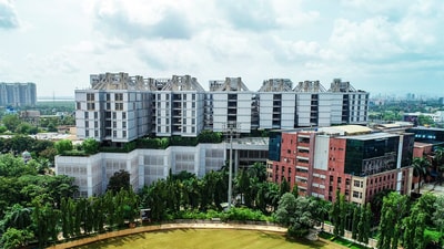 DY Patil University equips students with AI skills for future careers across business and technology sectors. DY Patil University equips students with AI skills for future careers across business and technology sectors.