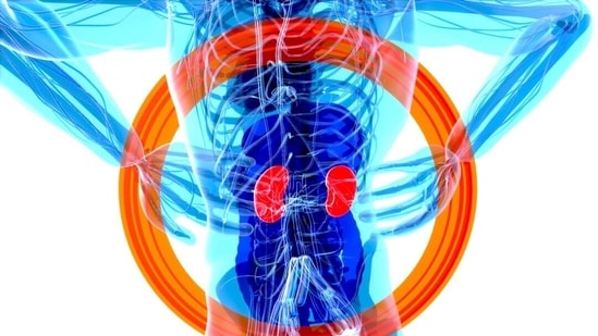Read more to find out more symptoms of kidney disease! (Unsplash)