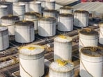 Traders and the National Iranian Oil Co are seeking payments in dollars, the sources said, adding that some parties are even willing to accept payments in Indian rupees.