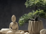 3 Feng Shui plants to invite love, success, and new opportunities 3 Feng Shui plants to invite love, success, and new opportunities