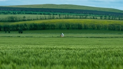 A Kentucky family rejects a $26 million offer to protect their generations old land. (Representative image/ Unsplash)