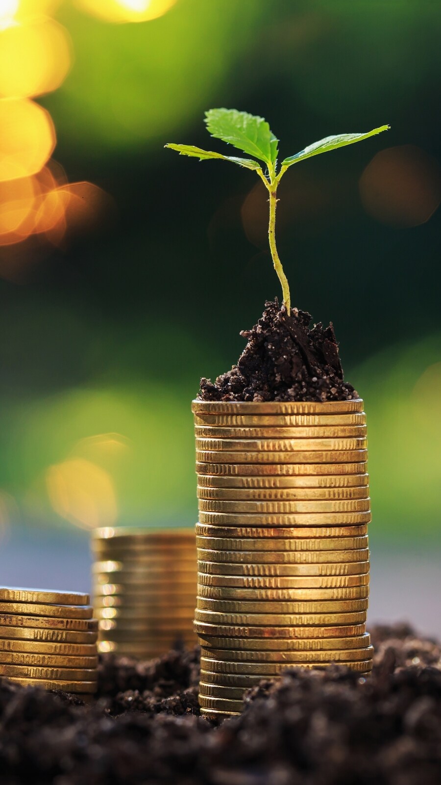 Fund raising (Shutterstock)