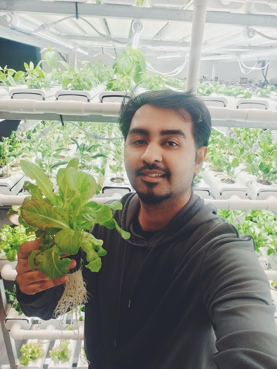 Abhijith started growing produce in north Sweden using hydroponics Abhijith started growing produce in north Sweden using hydroponics