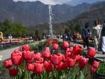 Tourists visit as tulips bloom in the Tulip Garden in Srinagar on Wednesday. (AFP)